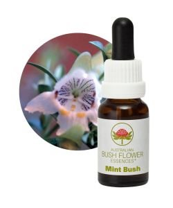 Mint Bush, 15 ml